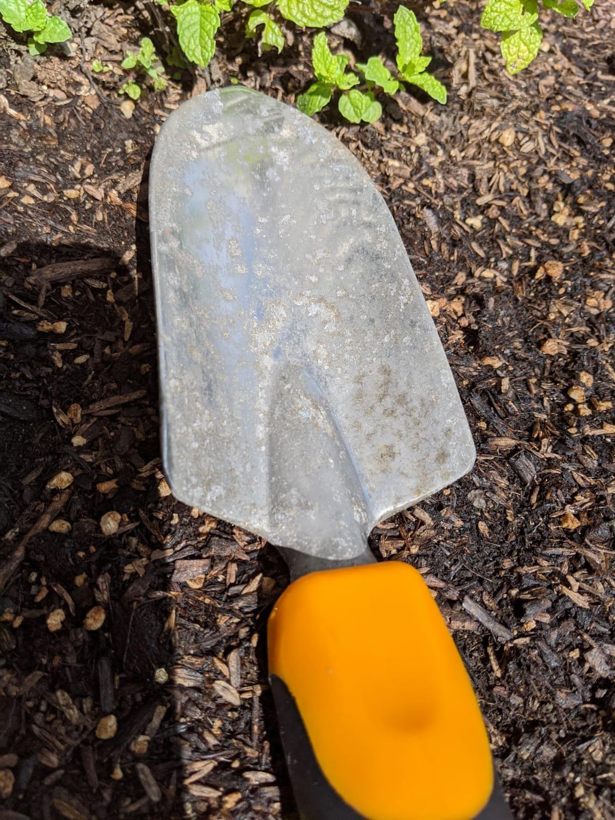 Fiskars 3-in-1 Garden Tool Set, Polished Cast-Aluminum Heads for Rust Resistance, Heavy-Duty Trowel, Transplanter & Cultivator for Digging and Planting, Non-Slip SoftGrip Handles Reduce Fatigue customer photo 1