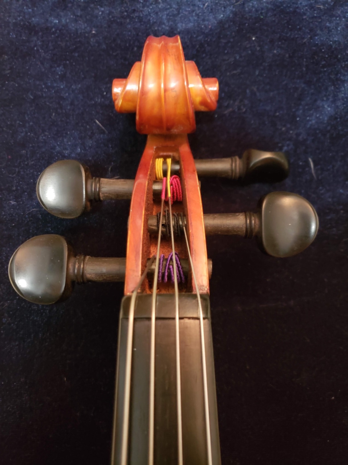 viola Model 101 with Strings, Case, Bow, Shoulder Rest, and Rosin (16