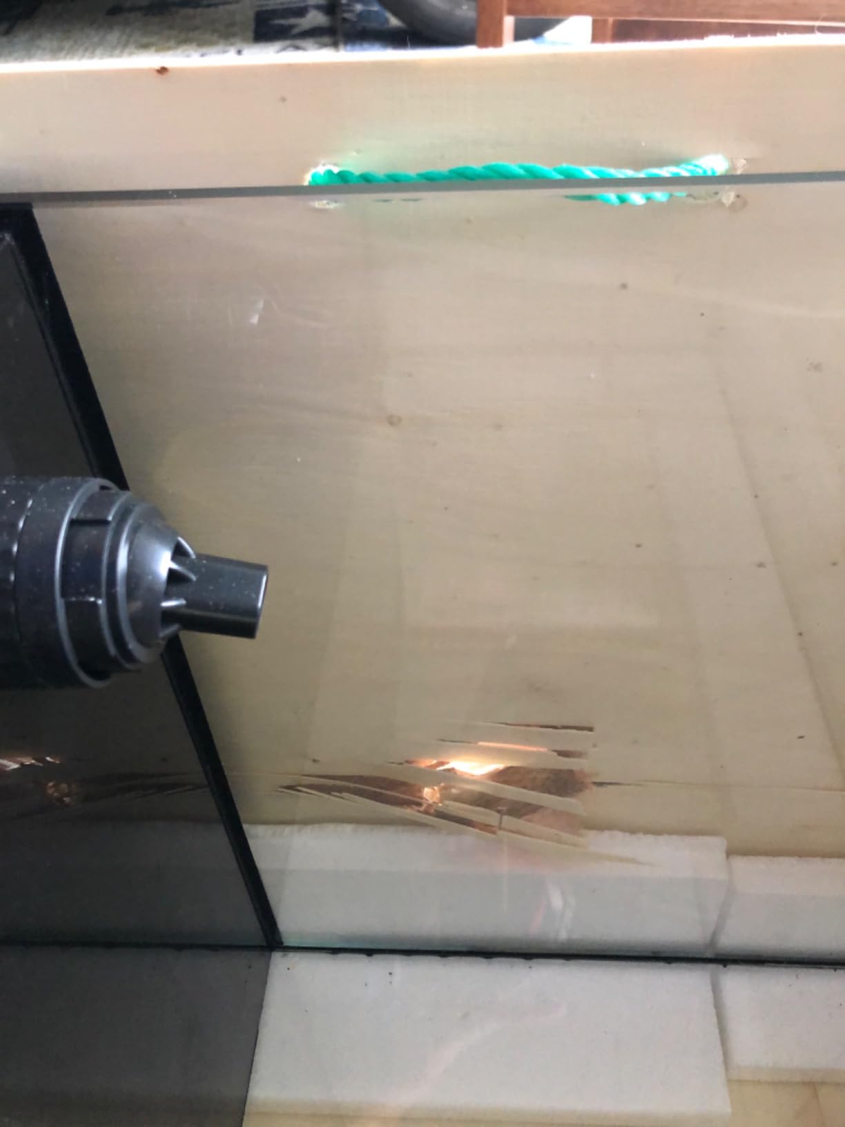 45P 15 Gallon Ultra Clear All Glass Rimless Low Iron Aquarium Tank with Rear Filtration Chamber (Return Pump Included) for Salt and Fresh Water customer photo 1