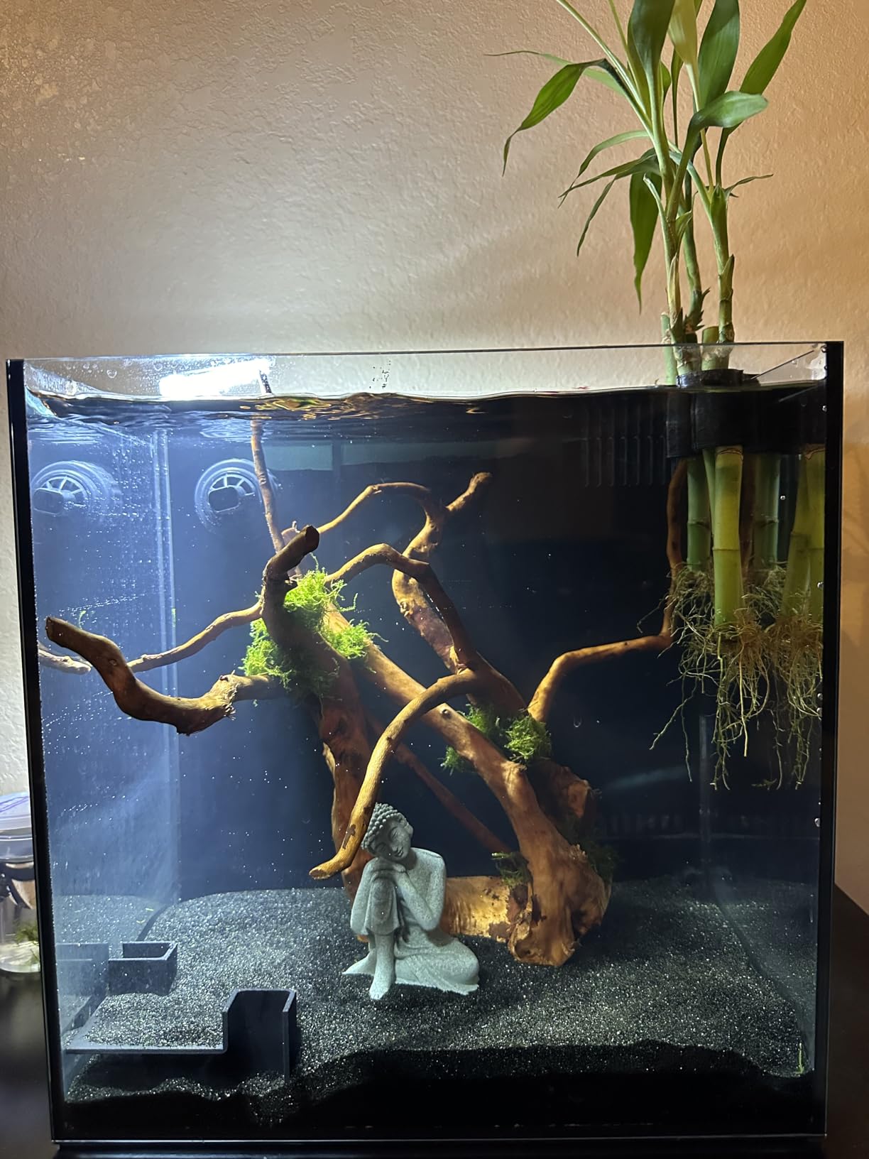 45P 15 Gallon Ultra Clear All Glass Rimless Low Iron Aquarium Tank with Rear Filtration Chamber (Return Pump Included) for Salt and Fresh Water customer photo 2