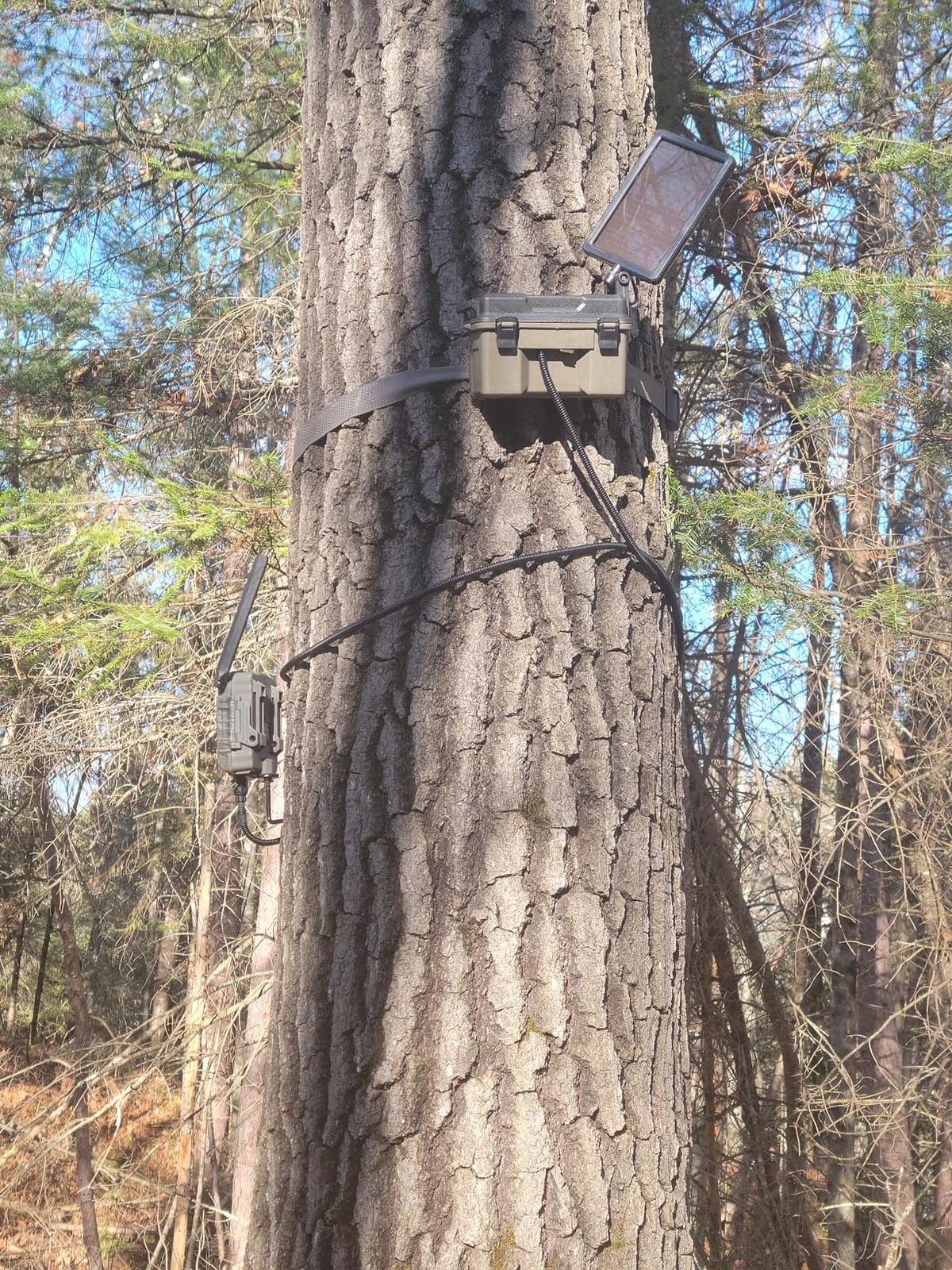 HME Trail Camera 12V/Solar Auxiliary Power Pack Durable Weather-Resistant Housing Easy Installation & Versatile Compatibility, Black | Weather-resistant housing, Easy installation customer photo 2
