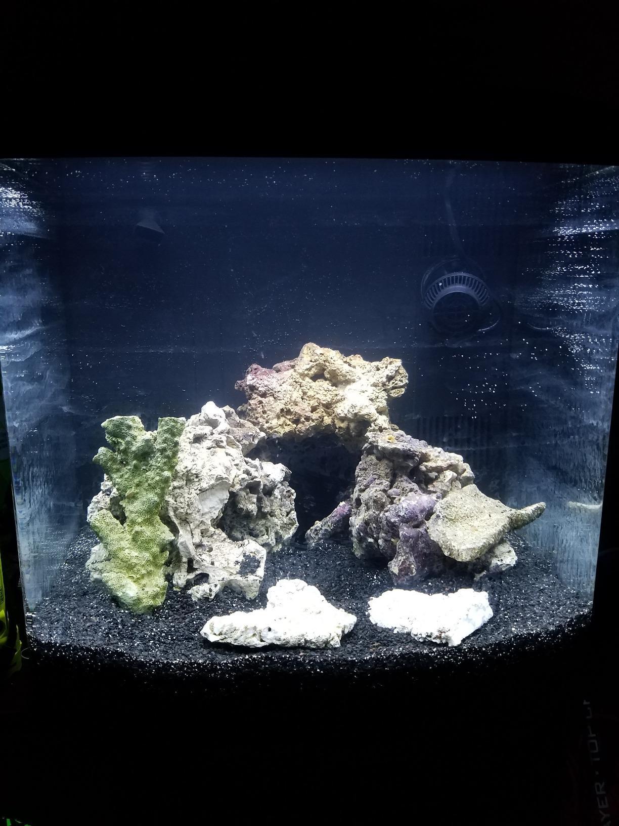 Coralife BioCube, Aquarium Kit, Integrated 24-hour Timer, Customizable LED Lighting, for Saltwater and Freshwater Environments, 32 Gallon customer photo 1