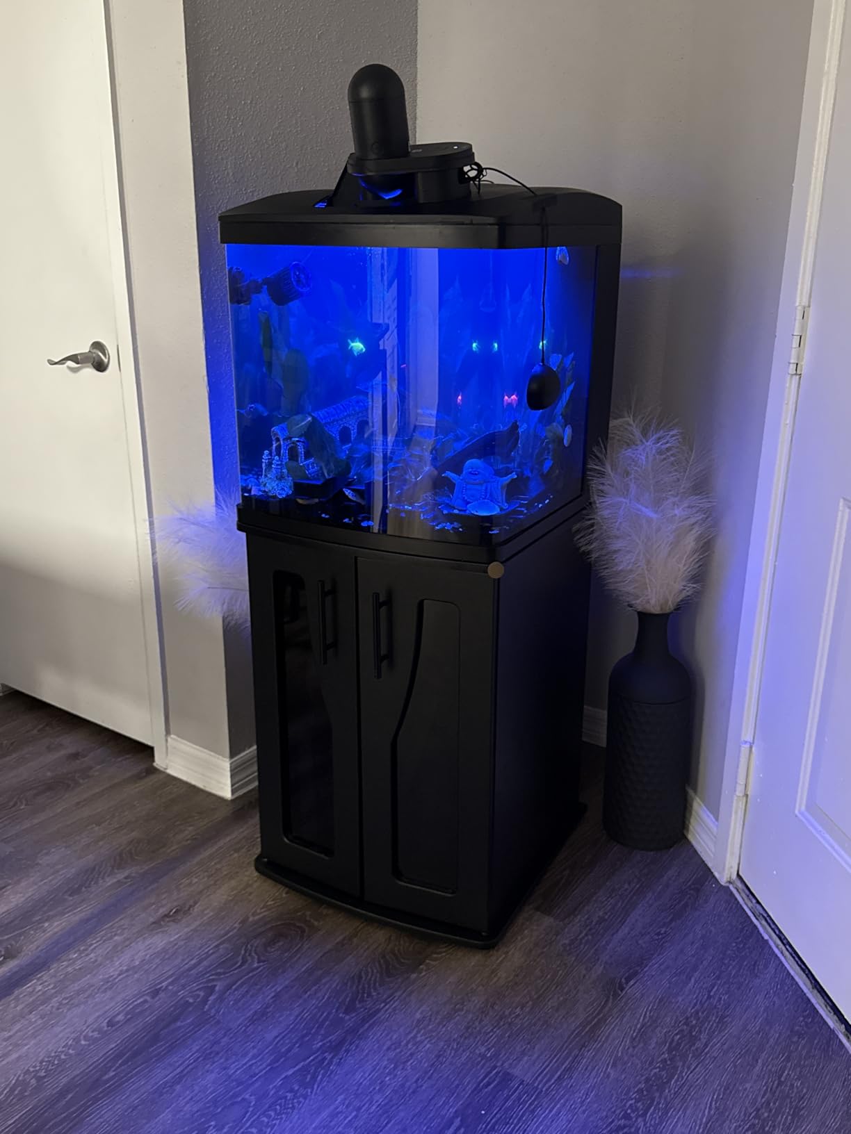 Coralife BioCube, Aquarium Kit, Integrated 24-hour Timer, Customizable LED Lighting, for Saltwater and Freshwater Environments, 32 Gallon customer photo 2