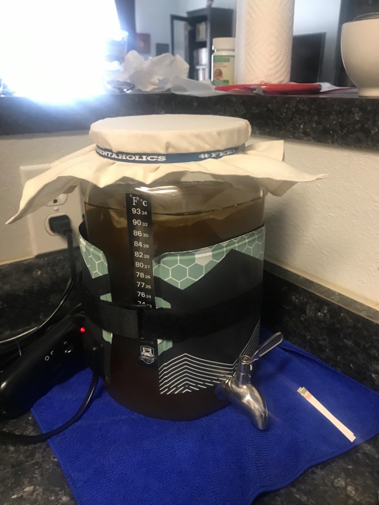 Kombucha Brewing Starter Kit - USDA Certified Organic SCOBY & Tea, Complete Home Kombucha Making Kit with Culture, Kosher Certified customer photo 2