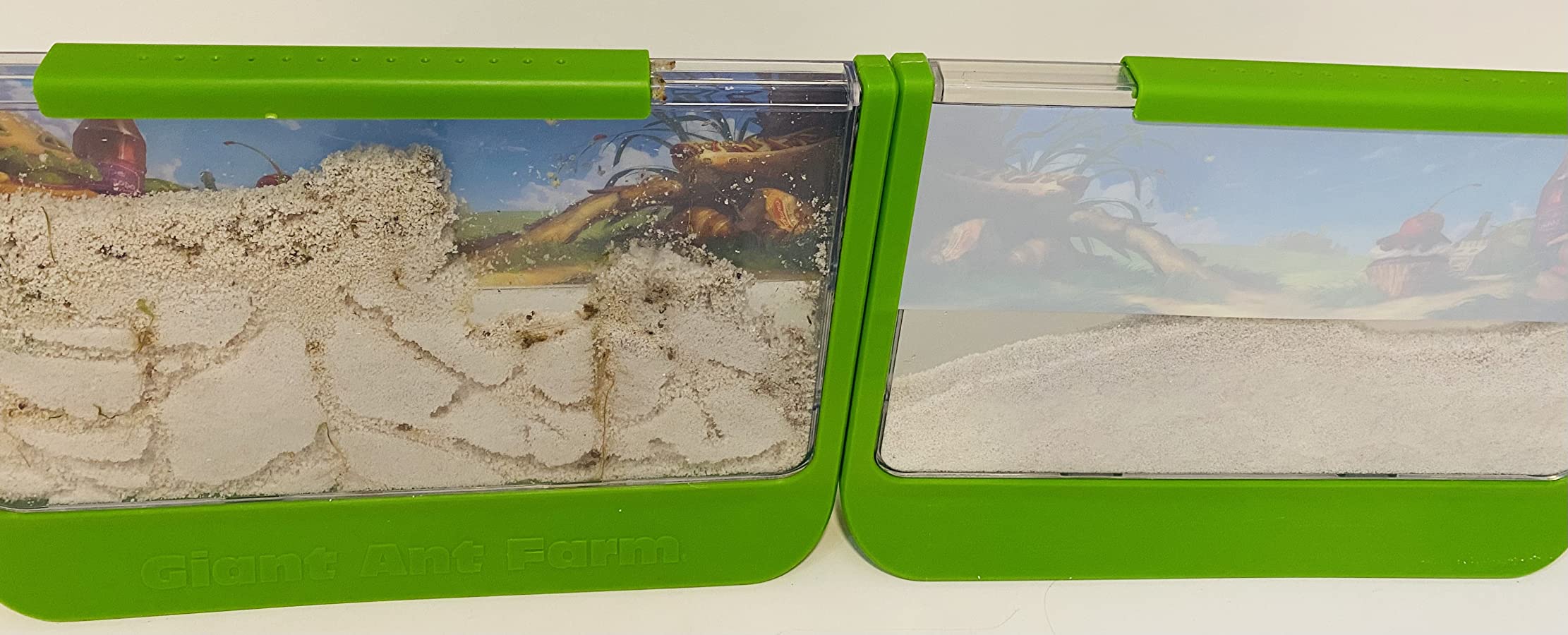 Uncle Milton Giant Ant Farm - Large Viewing Area - Care for Live Ants - Nature Learning Toy - Science DIY Toy Kit - Great Gift for Boys & Girls customer photo 1