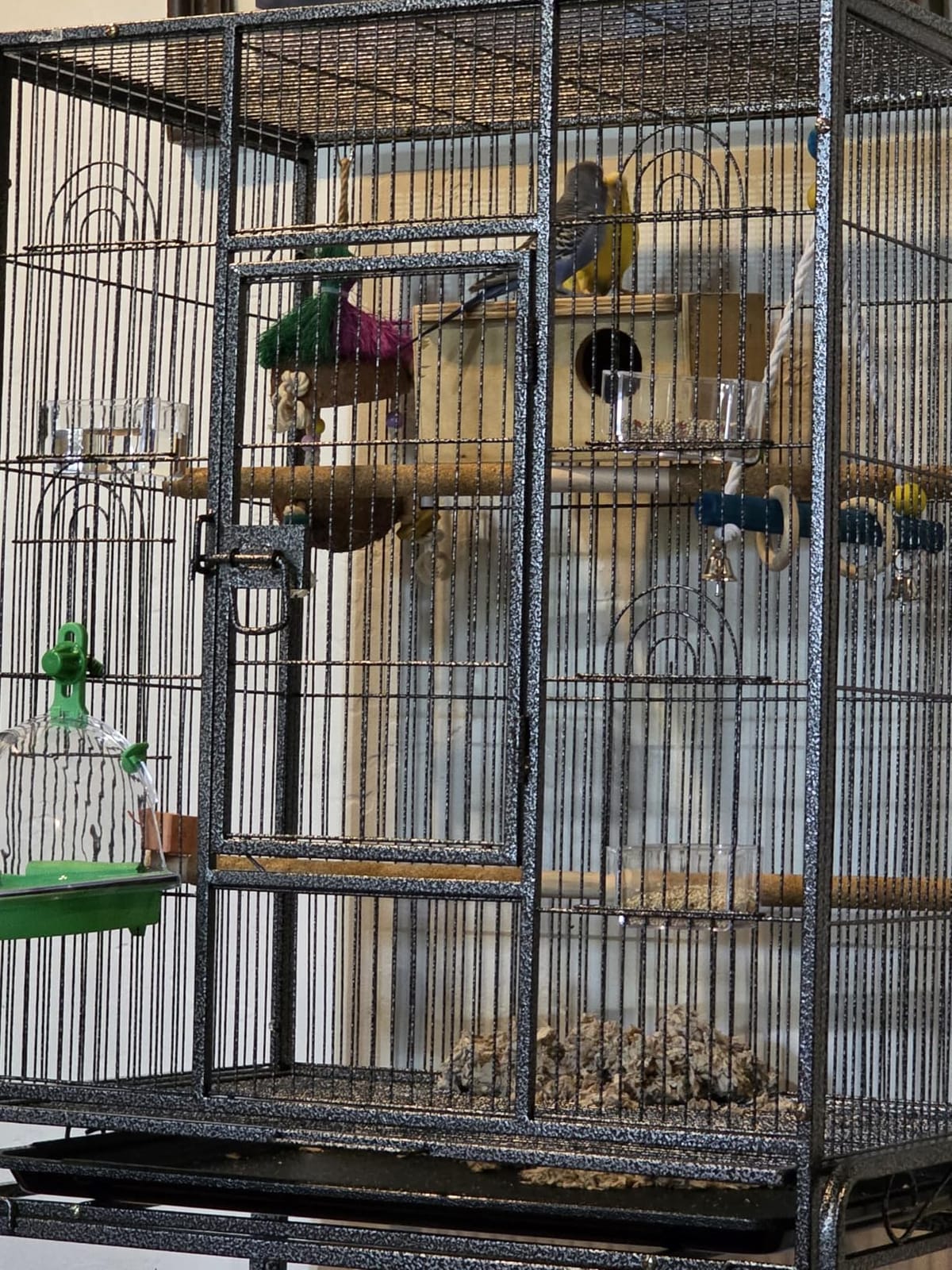 ZENY 53-Inch Bird Flight Cage, Wrought Iron Standing Large with Rolling Stand for Cockatiels Pet Parrot Parakeet Lovebird Canary Finch customer photo 1