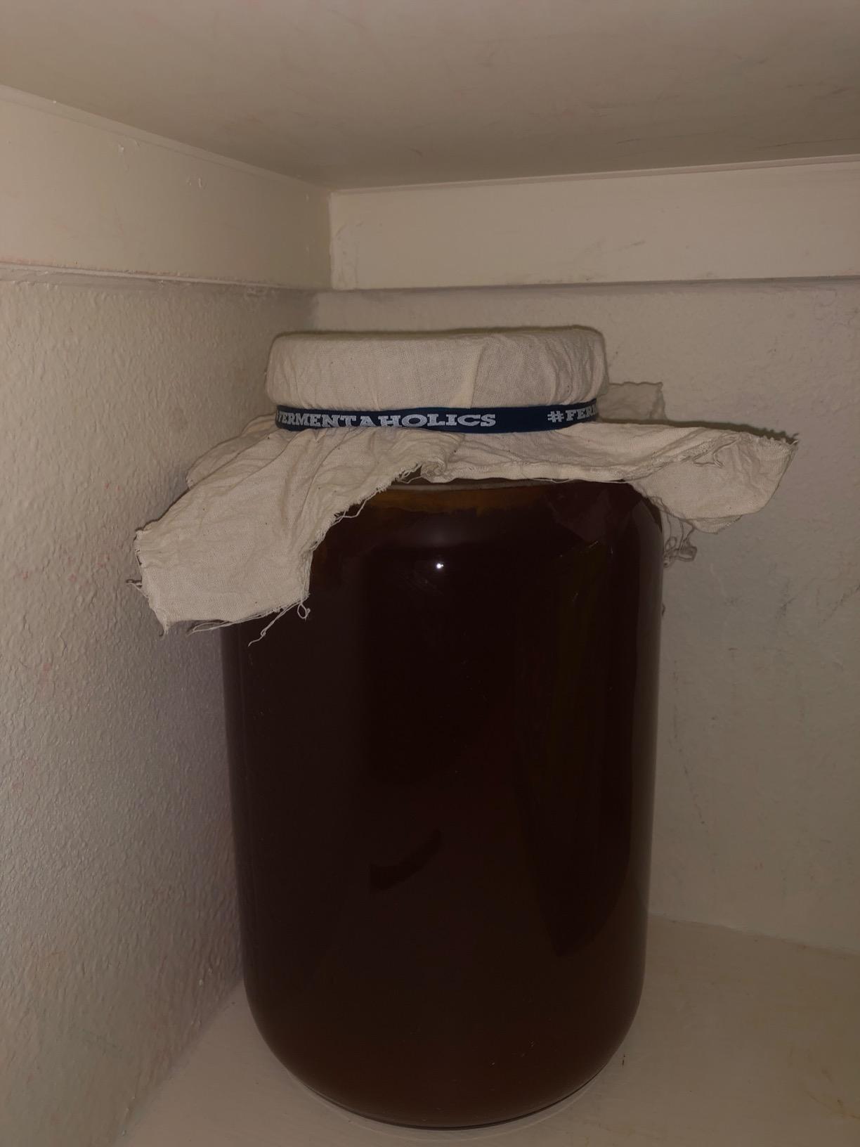 Kombucha Essentials Kit - Includes USDA Organic Kombucha SCOBY + 1-Gallon Glass Fermenting Jar with Breathable Cover + pH Strips + Rubber Band + Adhesive Thermometer - Brew kombucha at Home customer photo 1