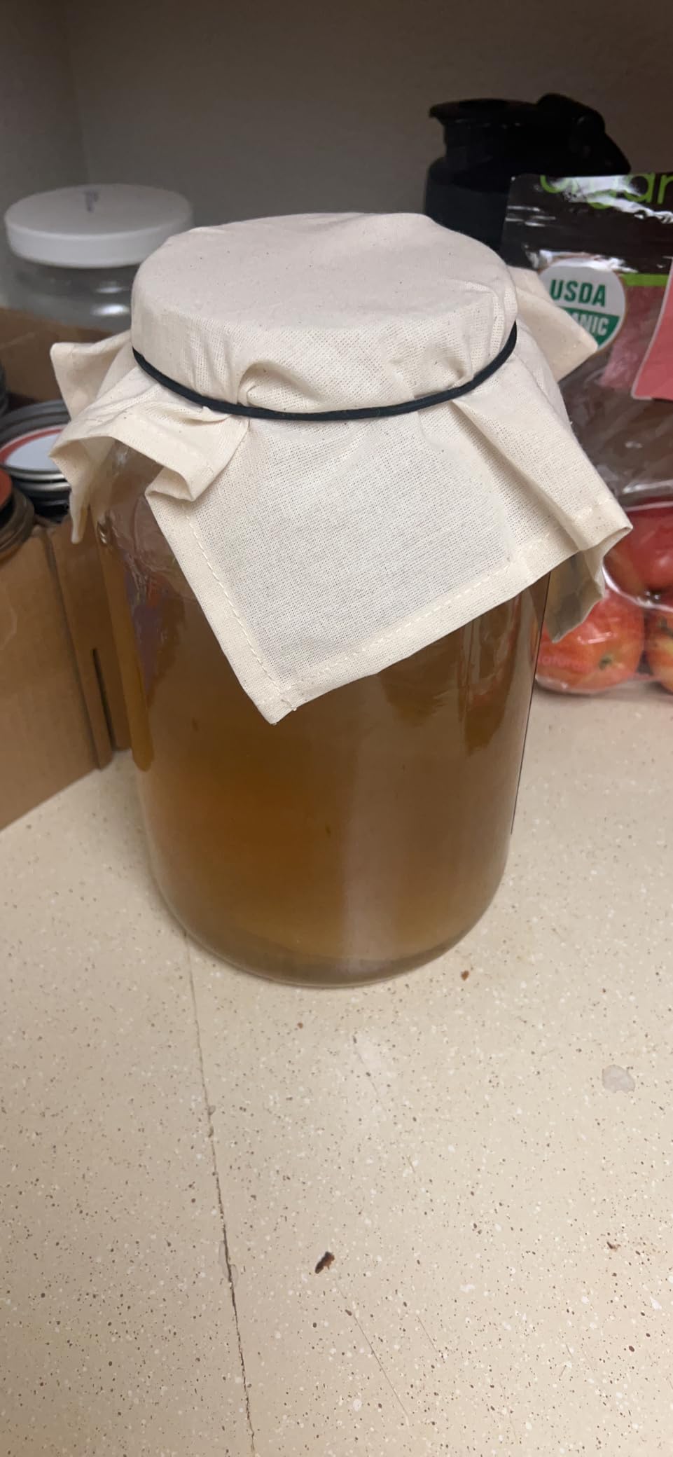 Kombucha Essentials Kit - Includes USDA Organic Kombucha SCOBY + 1-Gallon Glass Fermenting Jar with Breathable Cover + pH Strips + Rubber Band + Adhesive Thermometer - Brew kombucha at Home customer photo 2