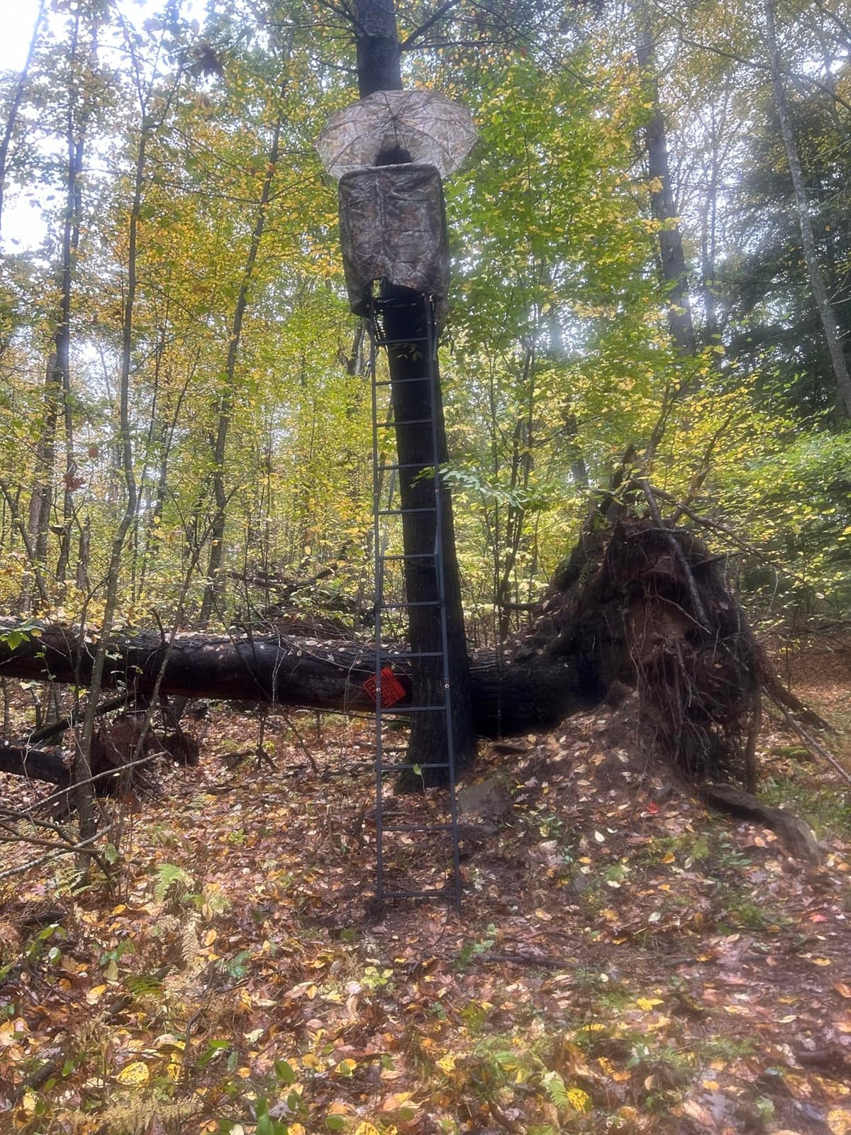 Muddy 1-Person Huntsman Deluxe Steel Ladder Tree Stand, 17 ft Tall | 300 lb Capacity customer photo 2