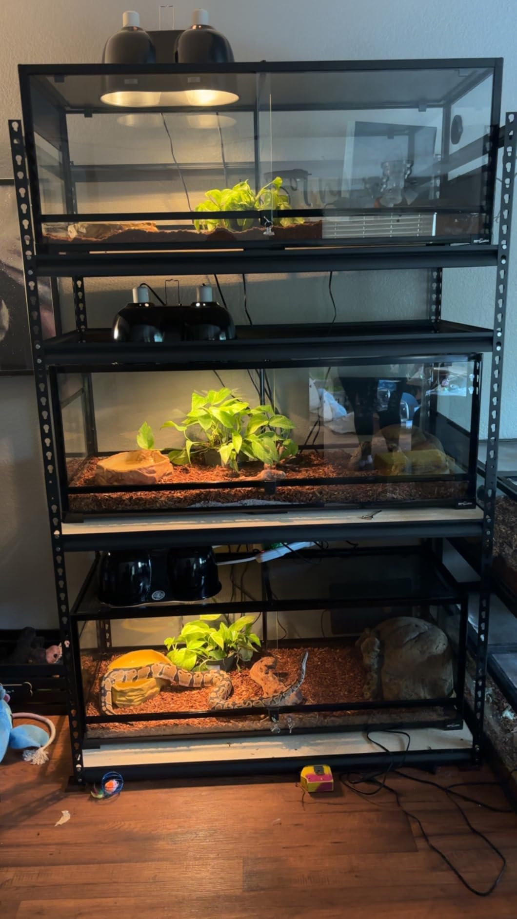 REPTI ZOO 67Gallon Reptile Large Terrarium Upgrade Glass Front Opening Tank Sliding Door with Screen Ventilation Reptile Terrarium About 48