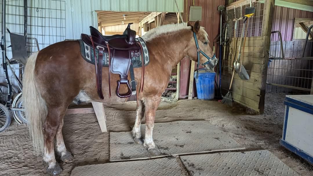 HILASON Western Draft Horse Trail Pleasure American Leather Saddle | for Horses customer photo 2