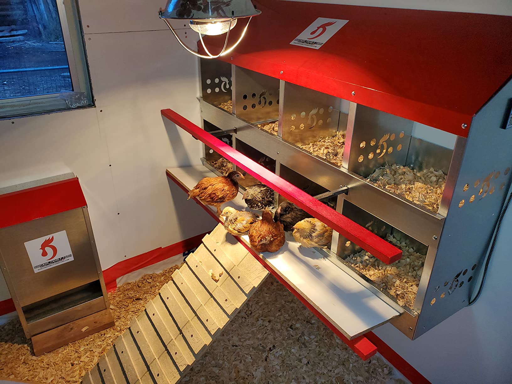 DUNCAN'S FAMILY FARM STORE Space Saving Mountable Steel Poultry Feeder (Front Feed, Front Loading) customer photo 1