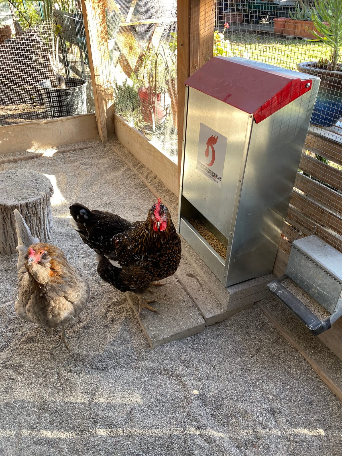 DUNCAN'S FAMILY FARM STORE Space Saving Mountable Steel Poultry Feeder (Front Feed, Front Loading) customer photo 2