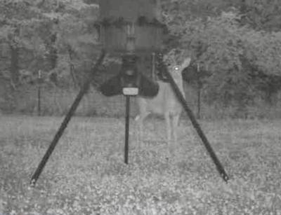 Moultrie Gravity Feeder Kit with Quick-Lock Adapter | Gravity-fed design, no power needed, easy conversion kit, protein pellet ready, rugged construction customer photo 2