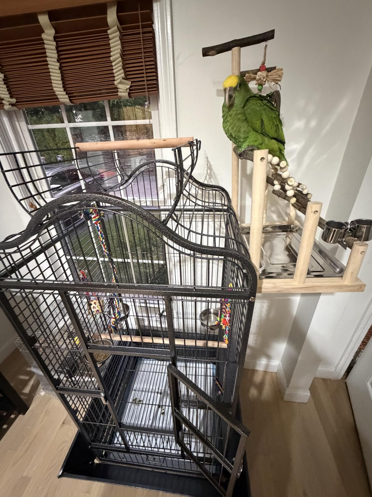 Yaheetech Extra Large Bird Cage 63'' Open Play Top Bird Cage for African Grey Parrots/Amazon Parrot/Caiques/Macaw with 360° Wheels customer photo 1