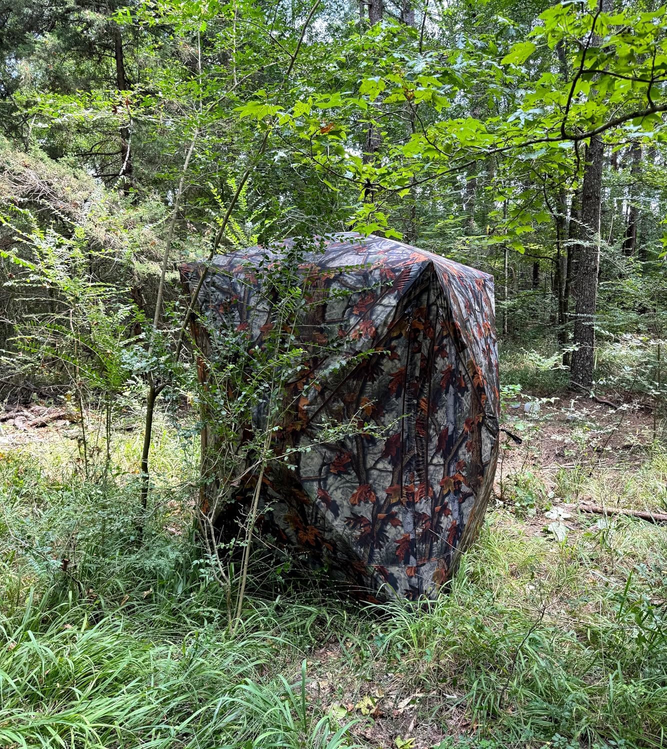 Barronett Blinds Prowler 300, Portable Hunting Blind, Tall Hub Blind, Shoot While Standing, Lightweight, 2-Person, Bloodtrail Woodland, 80