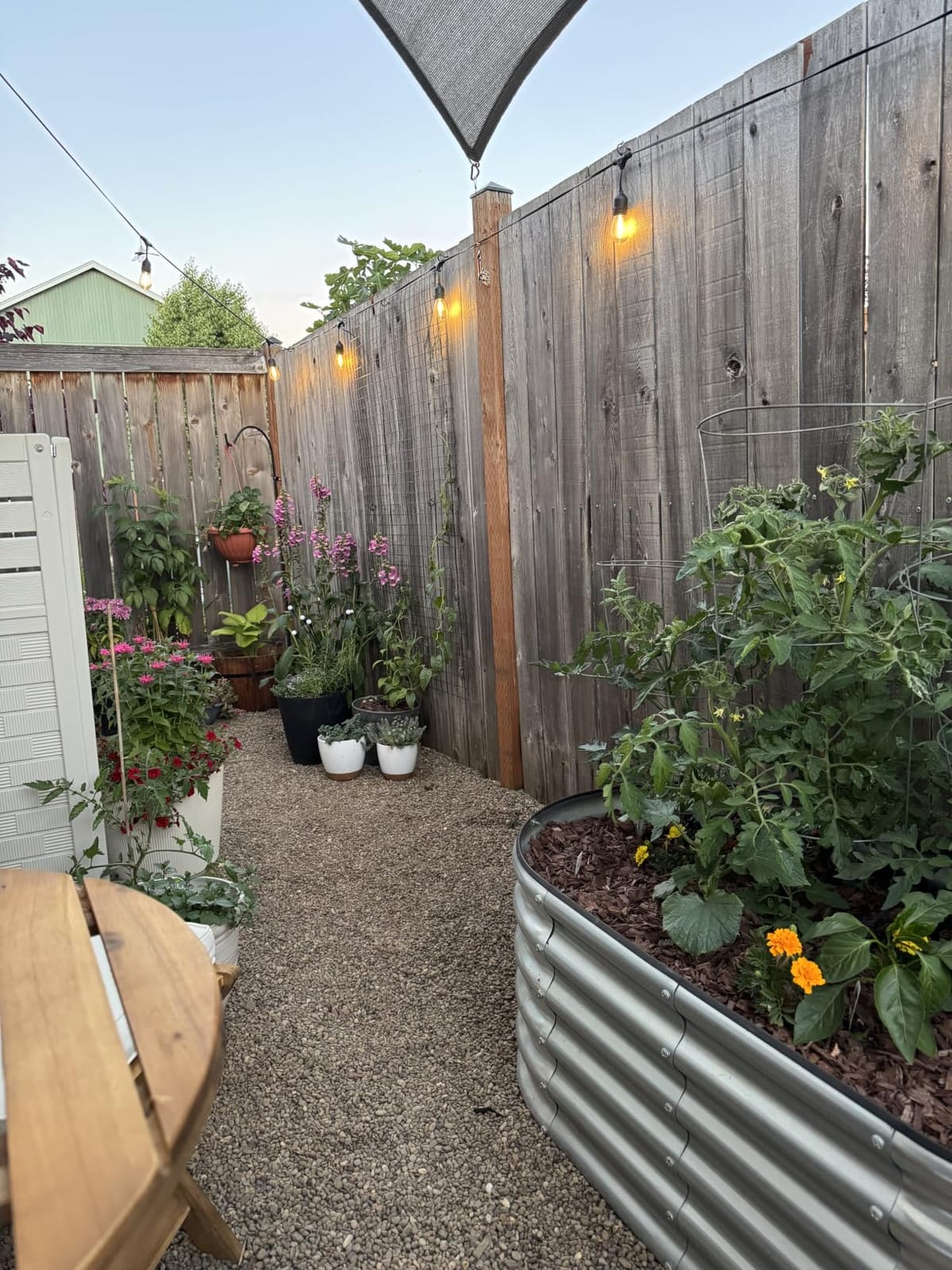 Rain Bird LNDDRIPKIT Drip Irrigation Landscape/Garden Watering Kit with Drippers, Micro-Bubblers, Micro-Sprays customer photo 2