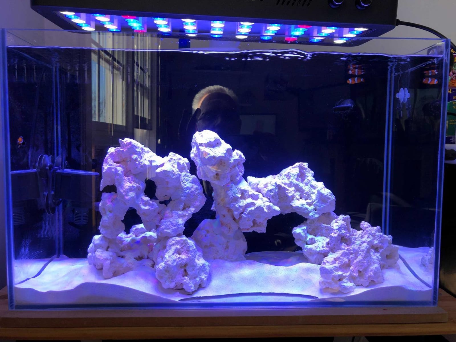 Empire USA - 24 Gallon All-in-One Aquarium Kit, Rimless Low Iron Glass AIO Saltwater & Freshwater Fish Tank, Complete Nano Reef Tank Setup for Home or Office customer photo 2