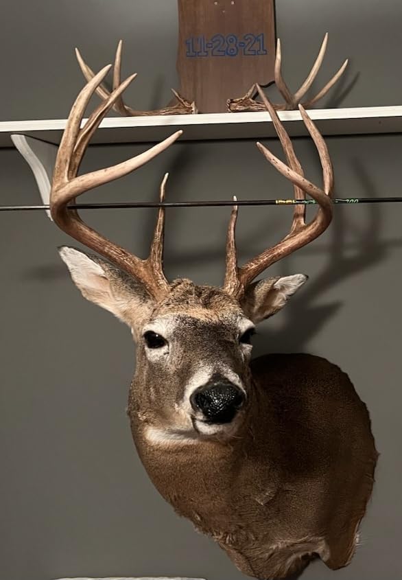 NAP Spitfire MAXX 100 Grain Broadhead 4PK customer photo 1