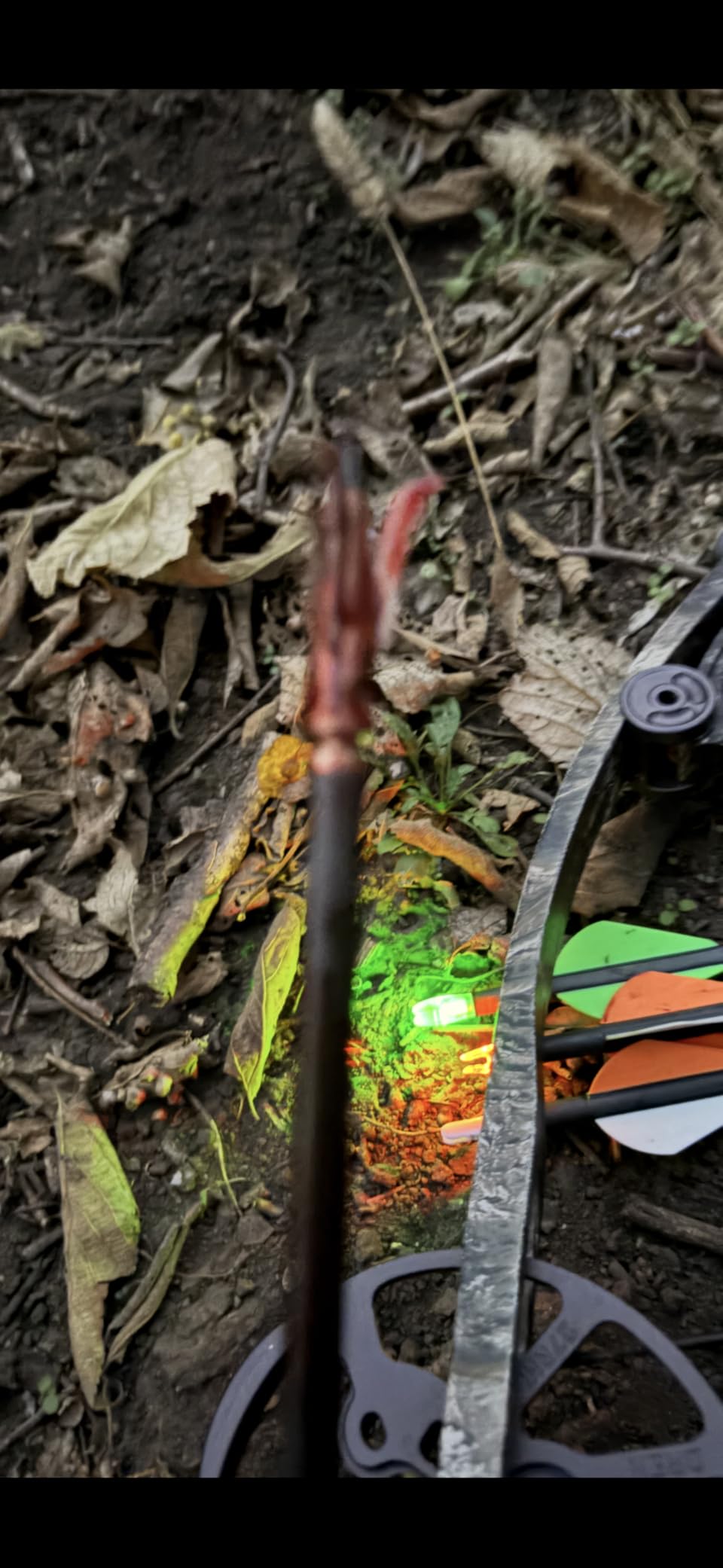NAP Spitfire Maxx 100 X-Bow Tt 4-Pack customer photo 1