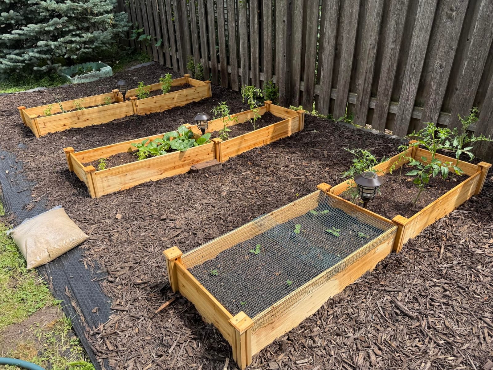 Yaheetech 8×2ft Wooden Horticulture Raised Garden Bed Divisible Elevated Planting Planter Box for Flowers/Vegetables/Herbs in Backyard/Patio Outdoor, Natural Wood, 95 x 25 x 11in customer photo 1