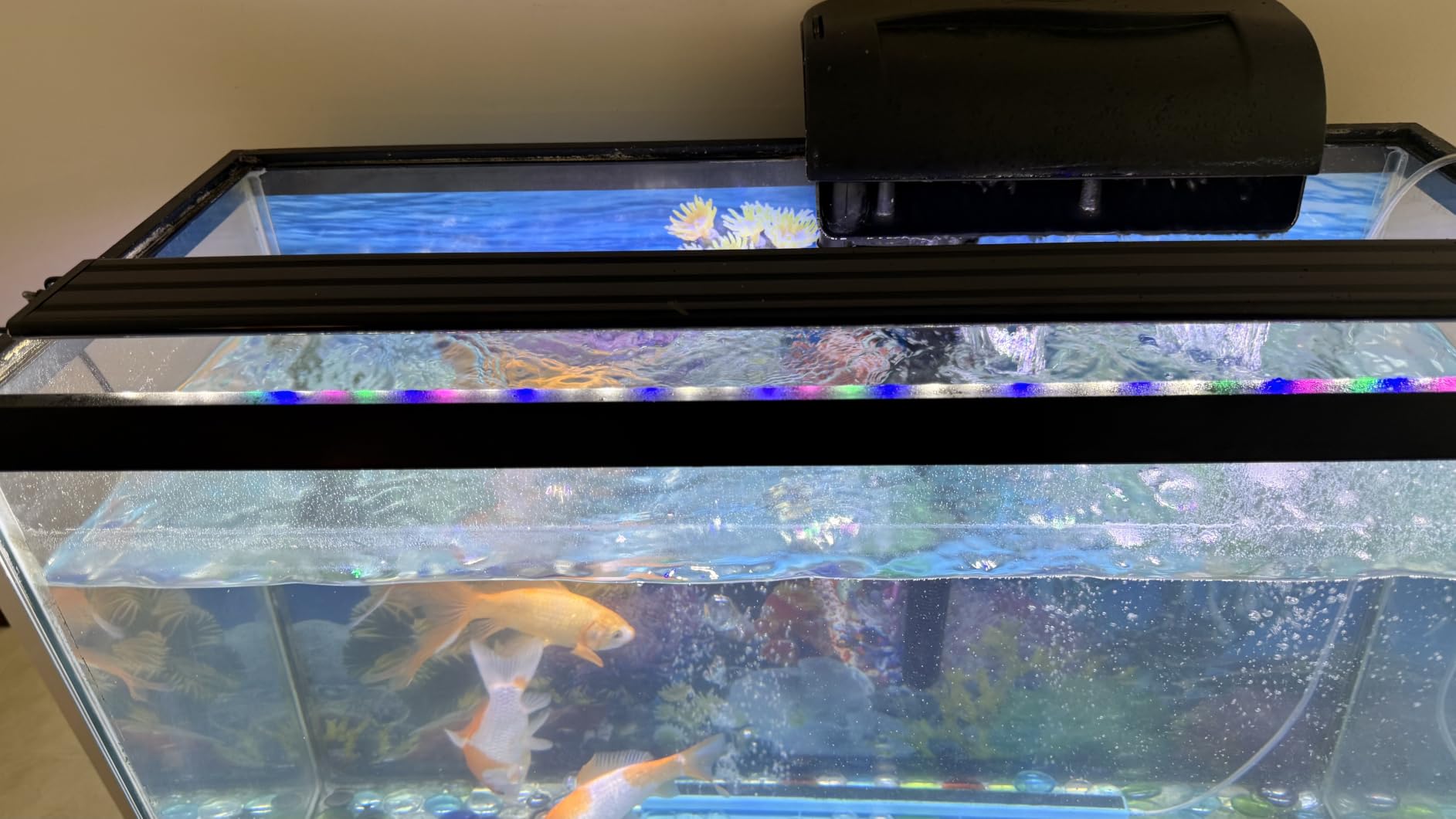 AQUANEAT LED Aquarium Light Full Spectrum 17 Inch Light Body with Extendable Brackets for 18 Inch to 24 Inch Fish Tank Light Fresh Water customer photo 1