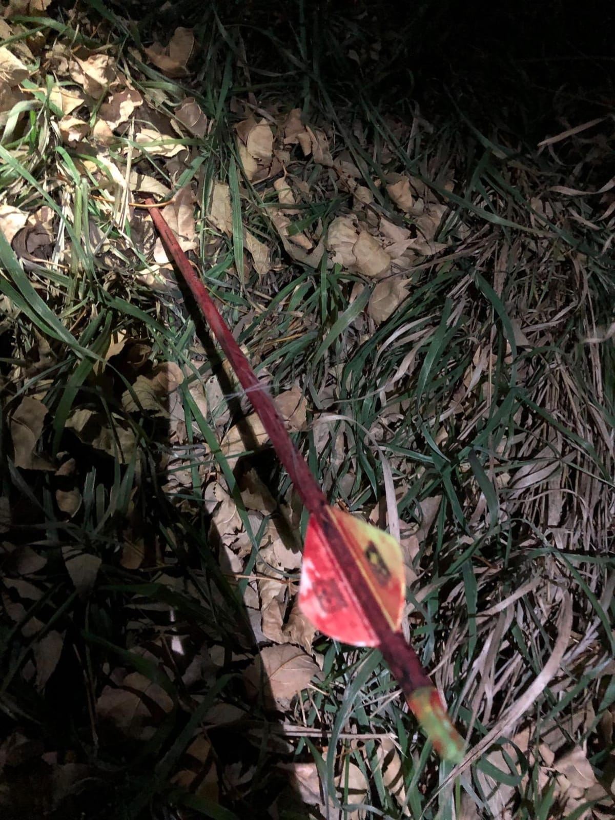 Swhacker #261 Levi Morgan Series 2-Blade Mechanical Broadheads, 100 Grain, 2.0