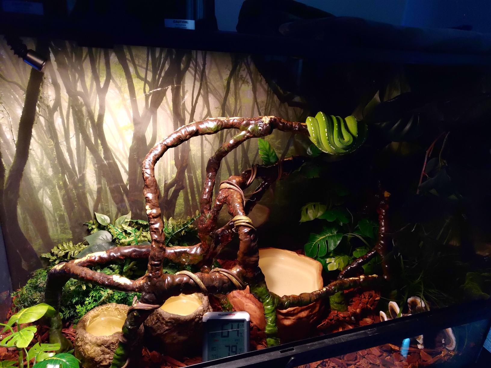 REPTI ZOO 4L Reptile Fogger Mister Tank, Terrariums Digital Tank Timing Humidifier Smart Touch Screen Adjustable Fogger for Reptiles Amphibians Herps customer photo 2