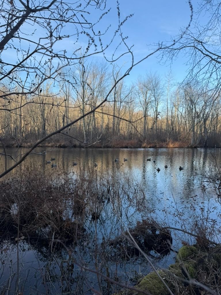 Flambeau Outdoors Duck Decoy - Masters Series Mallard or Blue Bill Decoys (6-Pack or 12-Pack) Classic Floaters customer photo 1