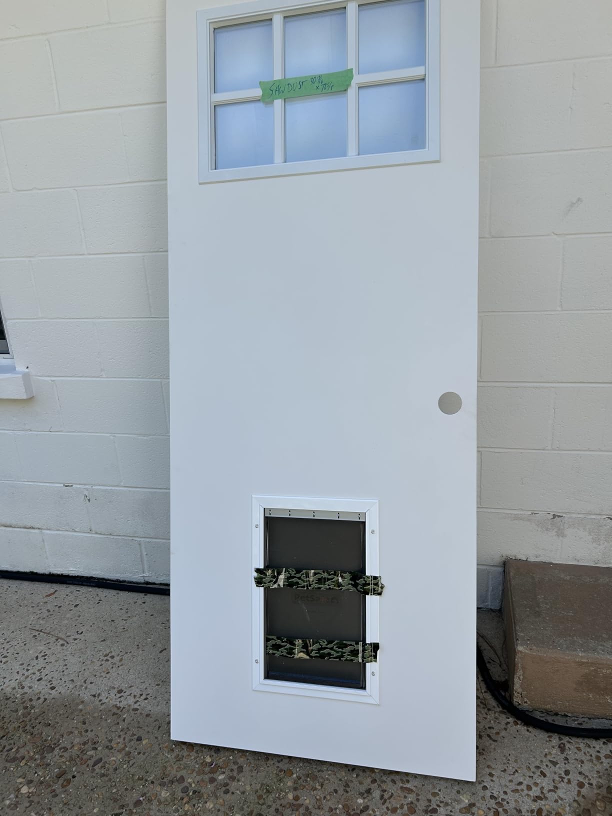 PetSafe Extreme Weather Aluminum XL Dog Door for Exterior Doors - Most Energy Efficient Pet Door - 3 Flaps for Insulation - for Large Dogs customer photo 1