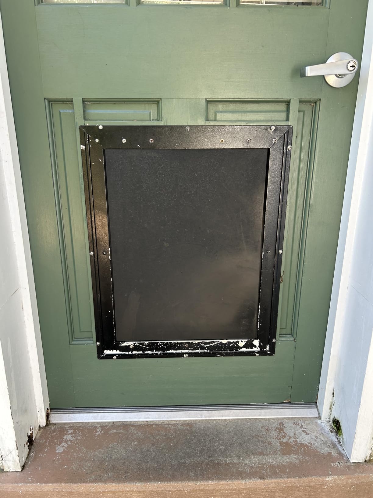 PetSafe Extreme Weather Aluminum XL Dog Door for Exterior Doors - Most Energy Efficient Pet Door - 3 Flaps for Insulation - for Large Dogs customer photo 2