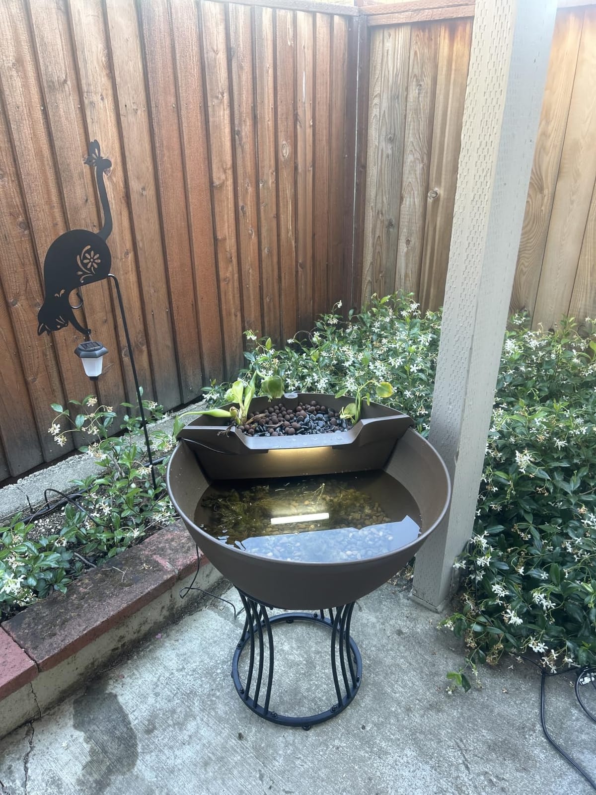 Aquascape AquaGarden Pond Kit, Container Water Garden | 78325 customer photo 1