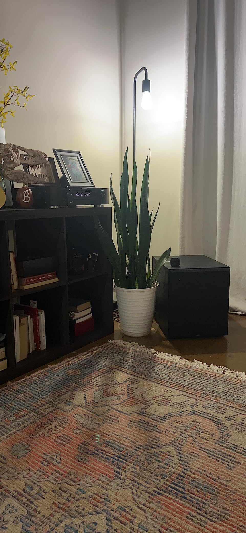 Klipsch Synergy Black Label Sub-120 12
