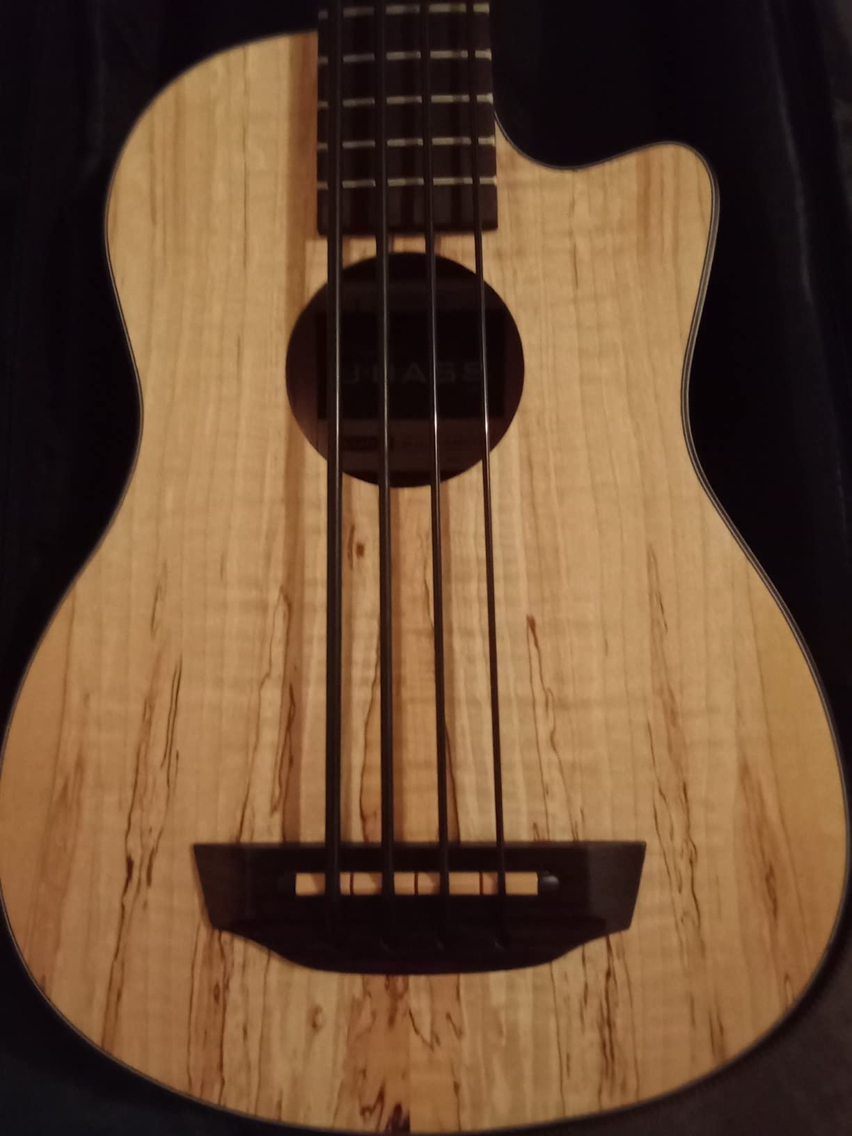 Kala UBASS-SP-MAPL-FS Spalted Maple Fretted Acoustic-Electric U-Bass customer photo 1