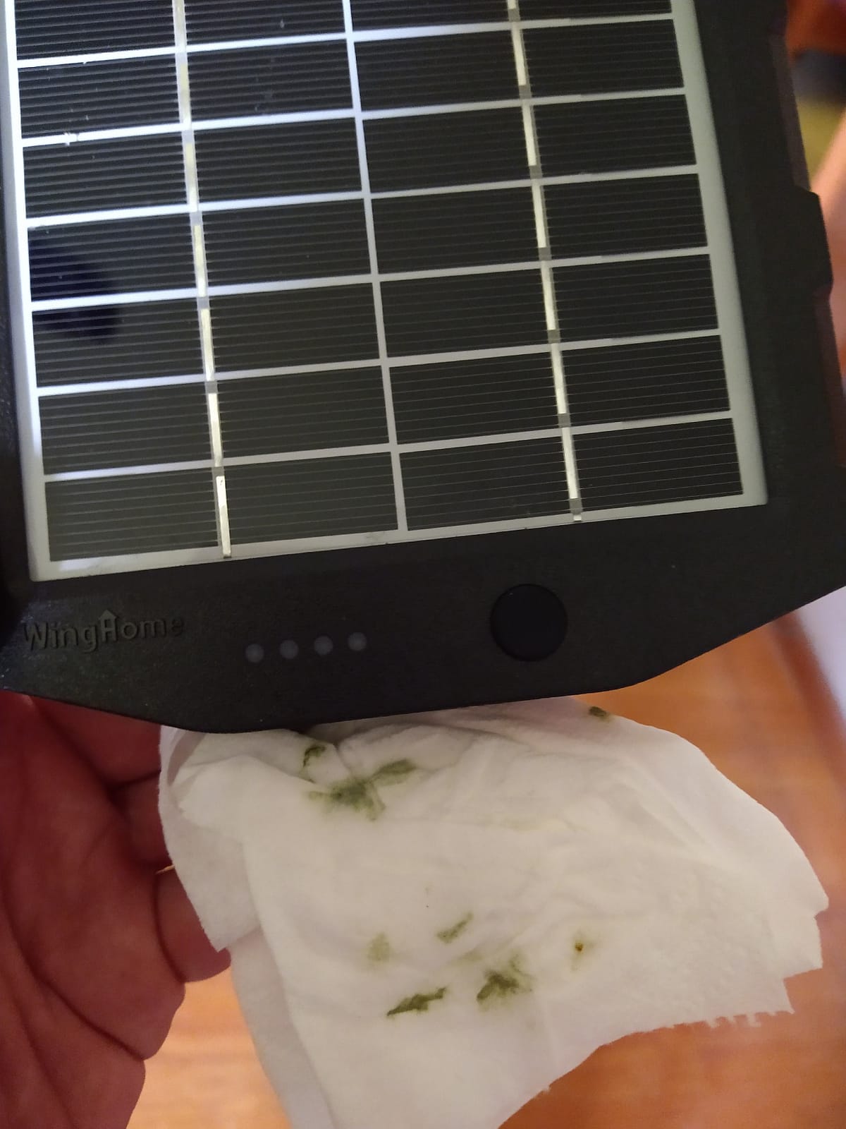 Trail Camera Solar Panel, WingHome Solar Battery Charger Kit 12V/1A 6V/1.5A with Build-in 2000mAH Rechargeable Lithium Battery IP66 Waterproof Hunting Accessory customer photo 1