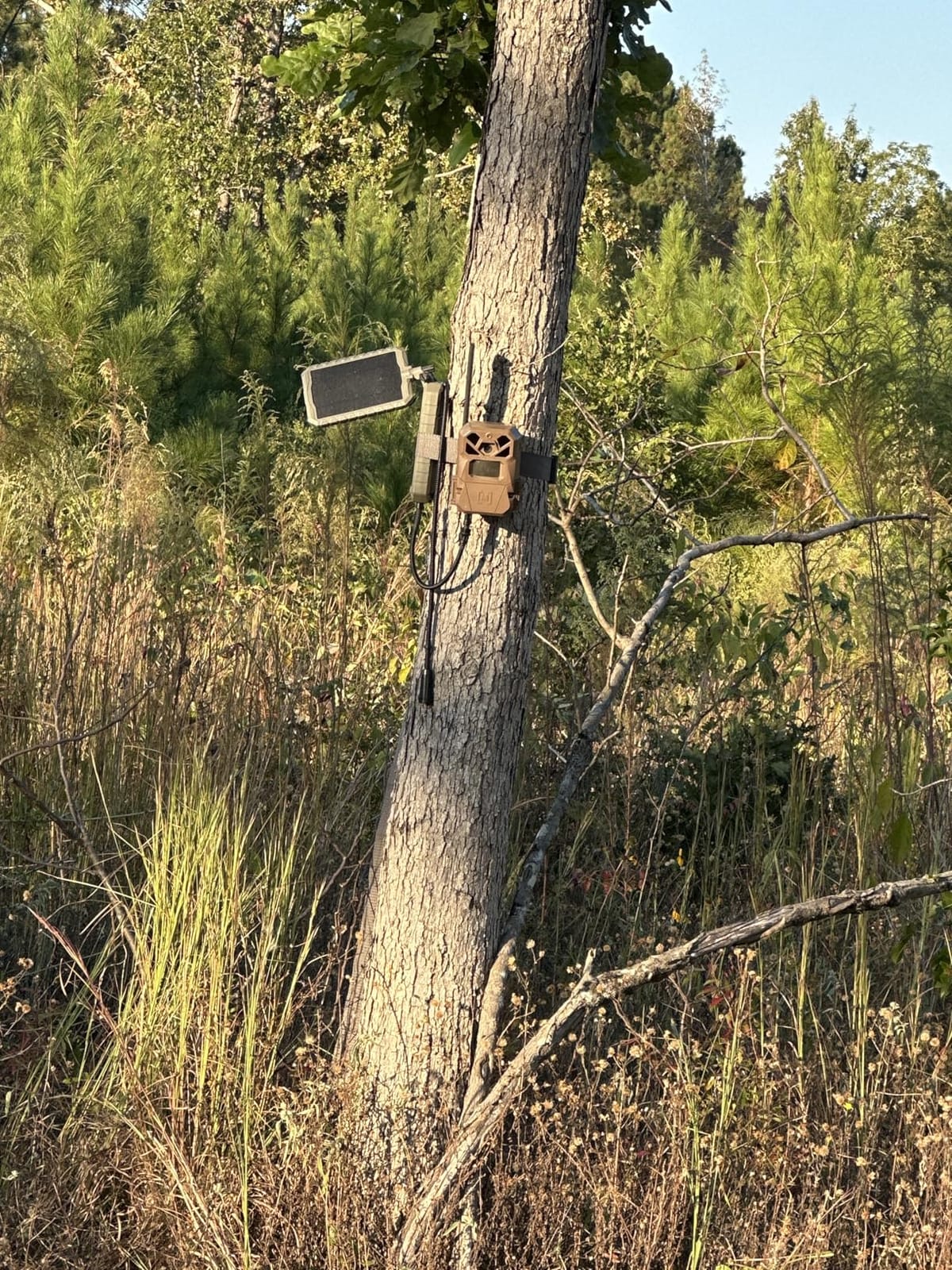 Stealth CAM Sol-Pak Solar Battery Pack, 12V Solar Power Panel, Compatible | All Wireless/Cellular Trail Cameras - 3000 mAh, Rechargeable Battery, 10ft Insulated Cable customer photo 1