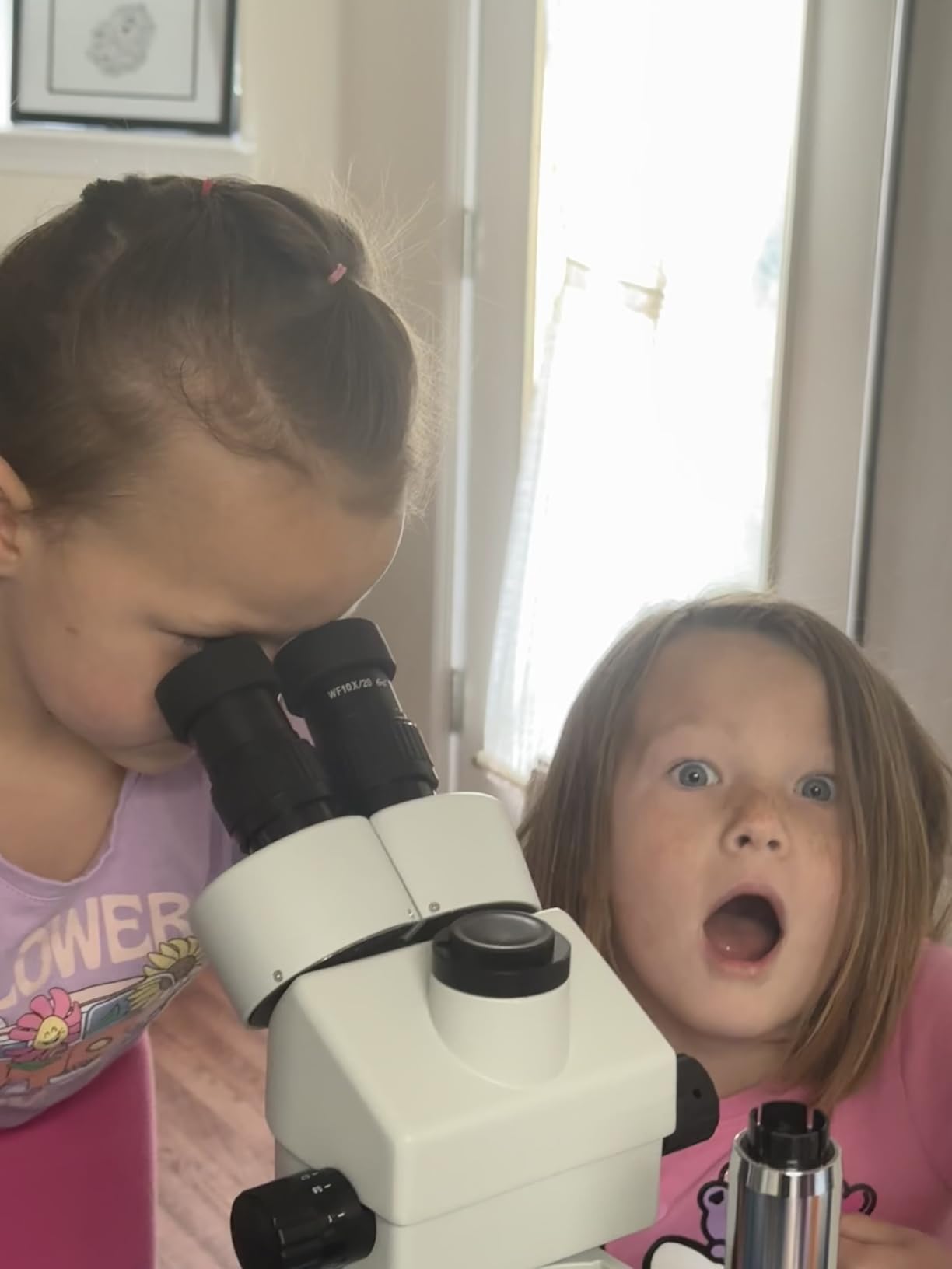 SWIFT Trinocular Stereo Zoom Microscope with 56-Bulb LED Ring Light, 3.5X-90X Magnification, WF10X Eyepieces, 0.7X-4.5X Zoom Objective, 0.5X 2.0X Additional Objectives, Table Pillar Stand customer photo 2