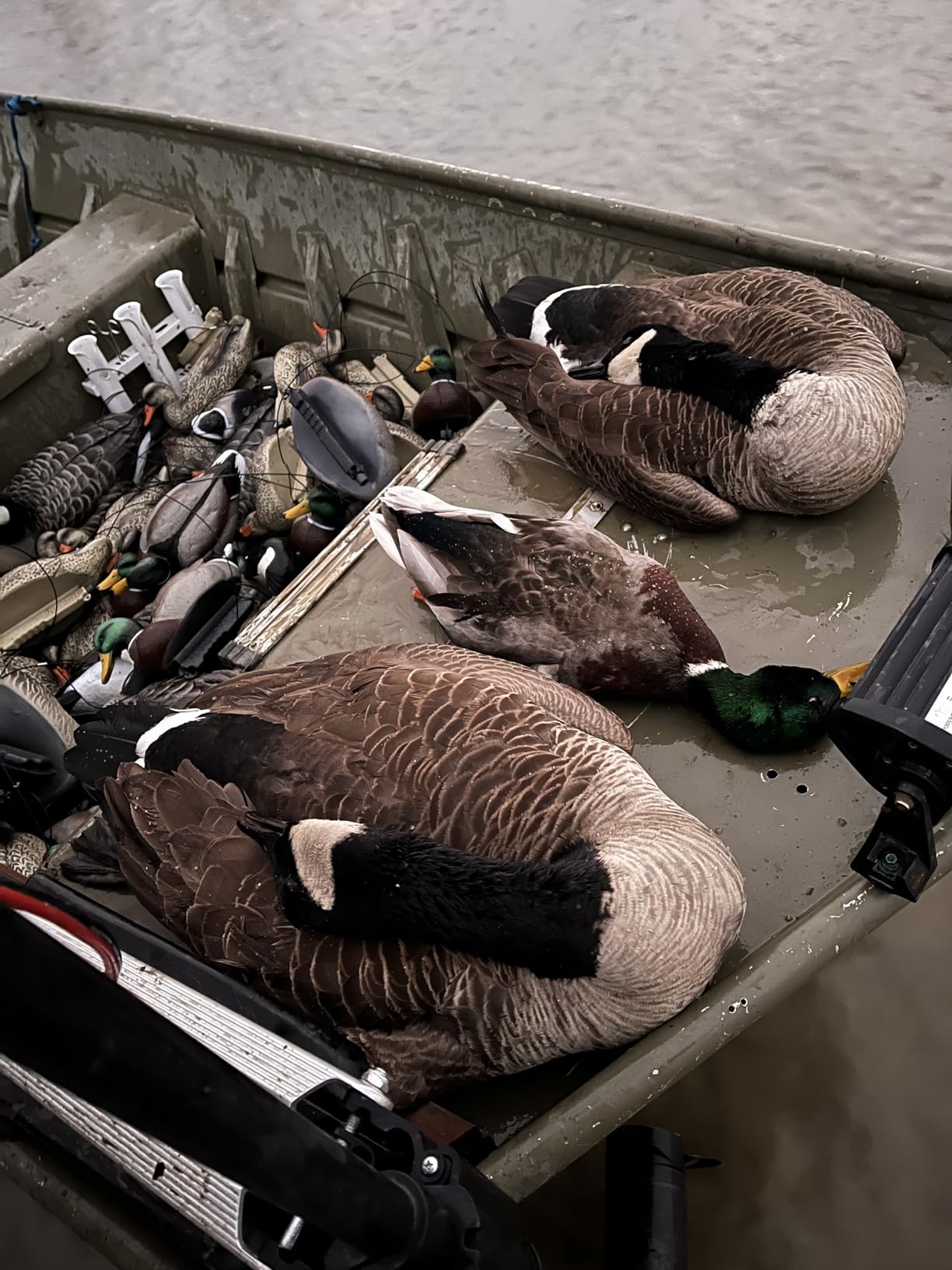 Final Approach Last Pass Mallard Floaters, Decoy 12 Pack customer photo 2