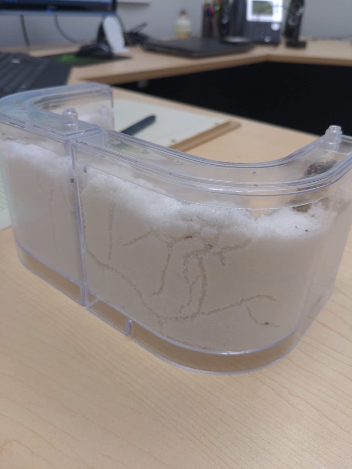 NAVAdeal Sand Ant Farm with Connecting Tubes, Habitat Educational & Learning Science Kit Toy for Kids & Adults - Allows Study of Ecosystem, Behavior of Ants, Explore The World At Home and School customer photo 1