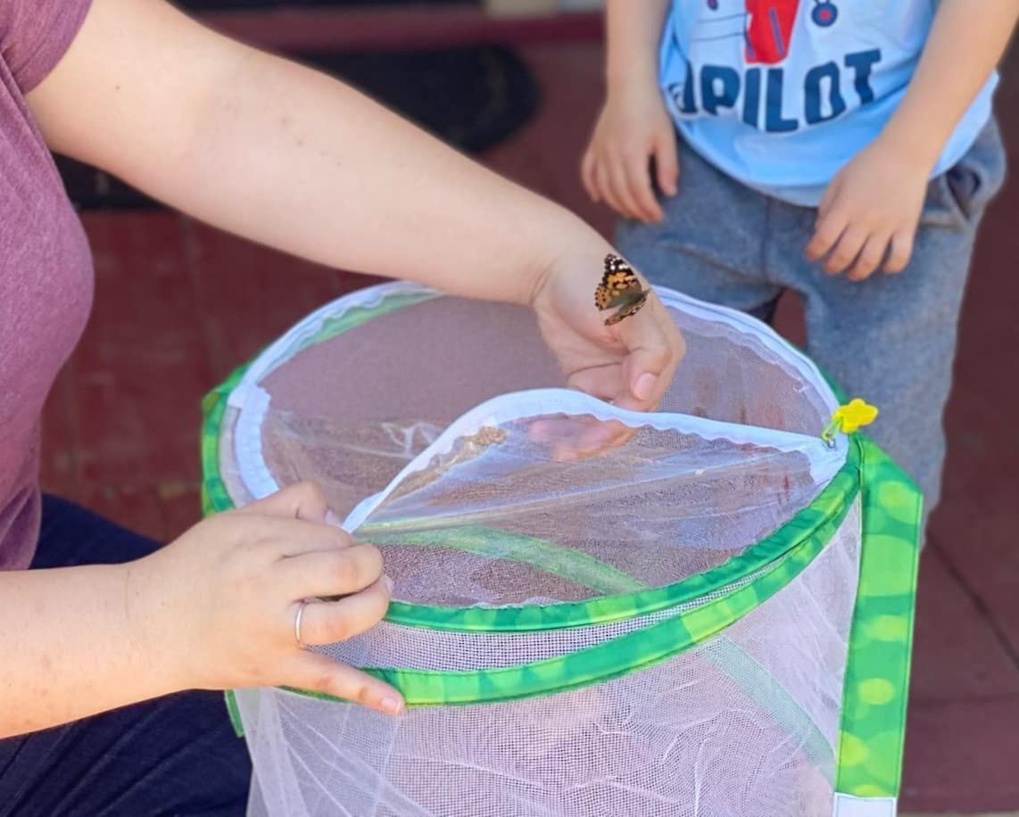 Insect Lore Butterfly Pavilion with Two Live Cups of Caterpillars - 2ft Tall Habitat, STEM Butterfly Journal, 10 Live Baby Caterpillars - Life Science Education Kit - Raise Painted Lady Butterflies customer photo 2