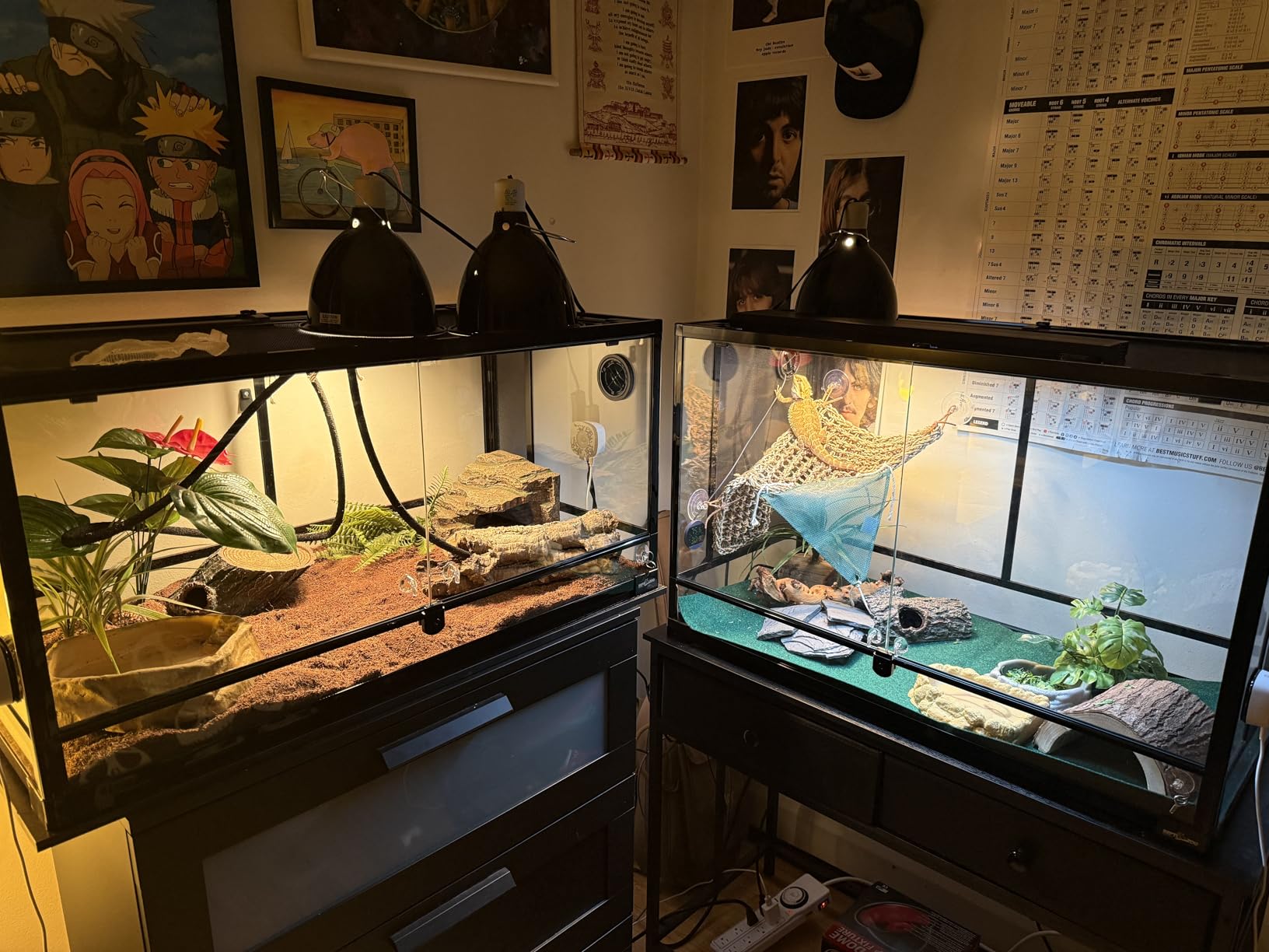 REPTI ZOO 50 Gallon Reptile Glass Tank Terrarium 2 in 1 Side Meshes and Side Glasses Double Hinge Door with Screen Ventilation Tempered Glass 36