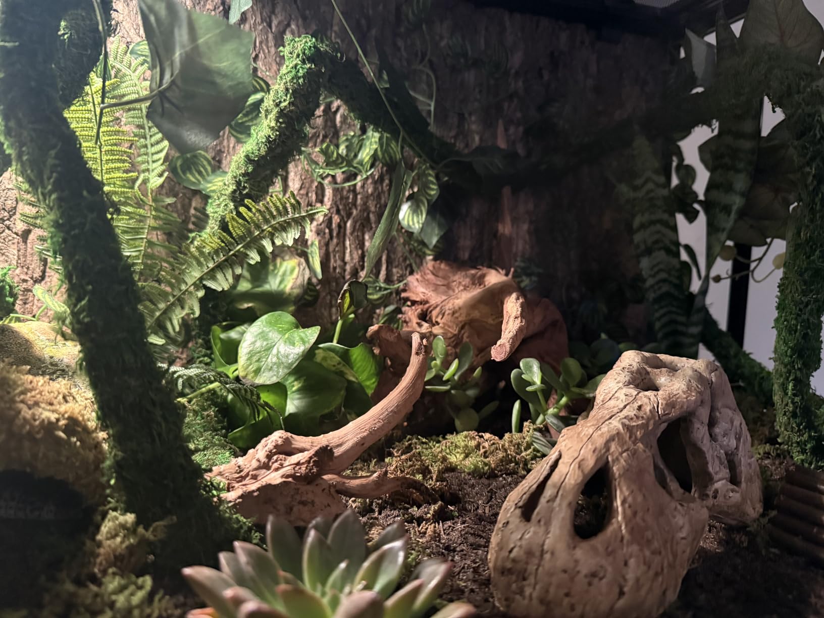 REPTI ZOO 50 Gallon Reptile Glass Tank Terrarium 2 in 1 Side Meshes and Side Glasses Double Hinge Door with Screen Ventilation Tempered Glass 36