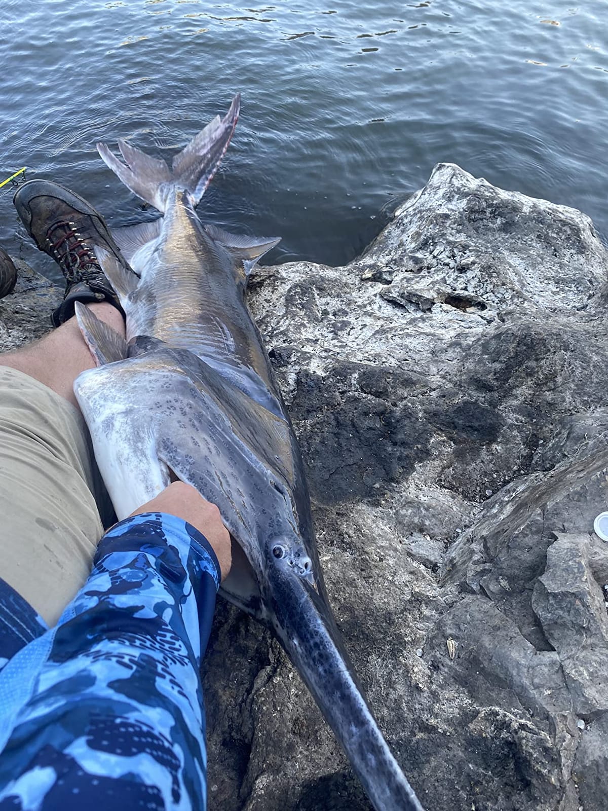 Championship Catfish Rod: 2 Piece, Medium Heavy Chop Stick, Sensitive Tip for Detecting Bites, Heavy Backbone for Hauling in Ugly Monsters, 10-50lb Line, 7'6