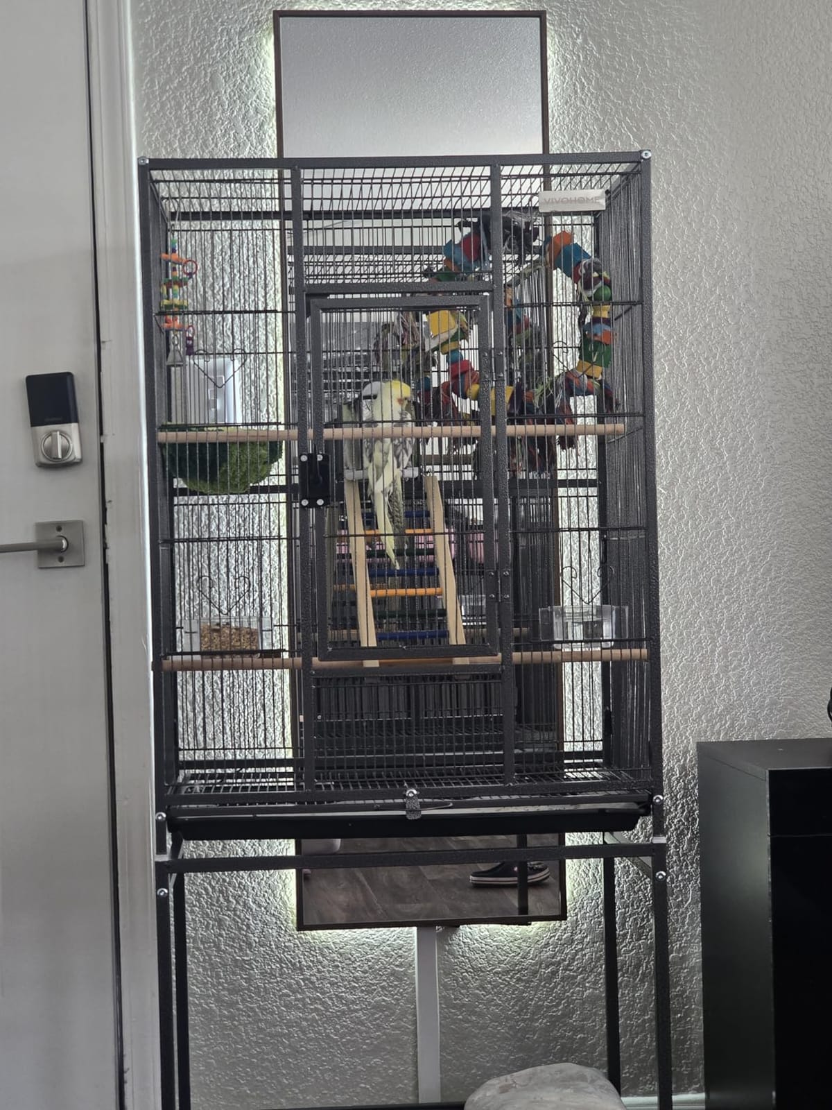 VIVOHOME 54 Inch Wrought Iron Large Bird Flight Cage with Rolling Stand for Parakeets Canaries Cockatiels Lovebirds Conures, Black customer photo 2