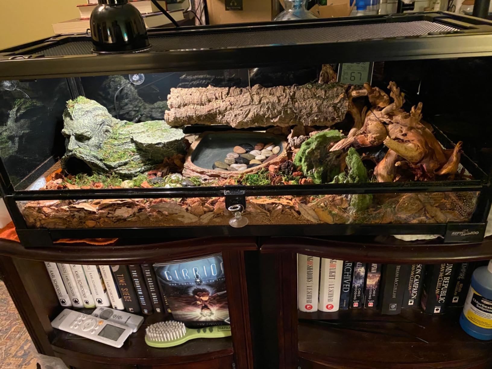 REPTI ZOO Glass Reptile Terrarium 20 Gallon, Front Opening Reptiles Tank 30