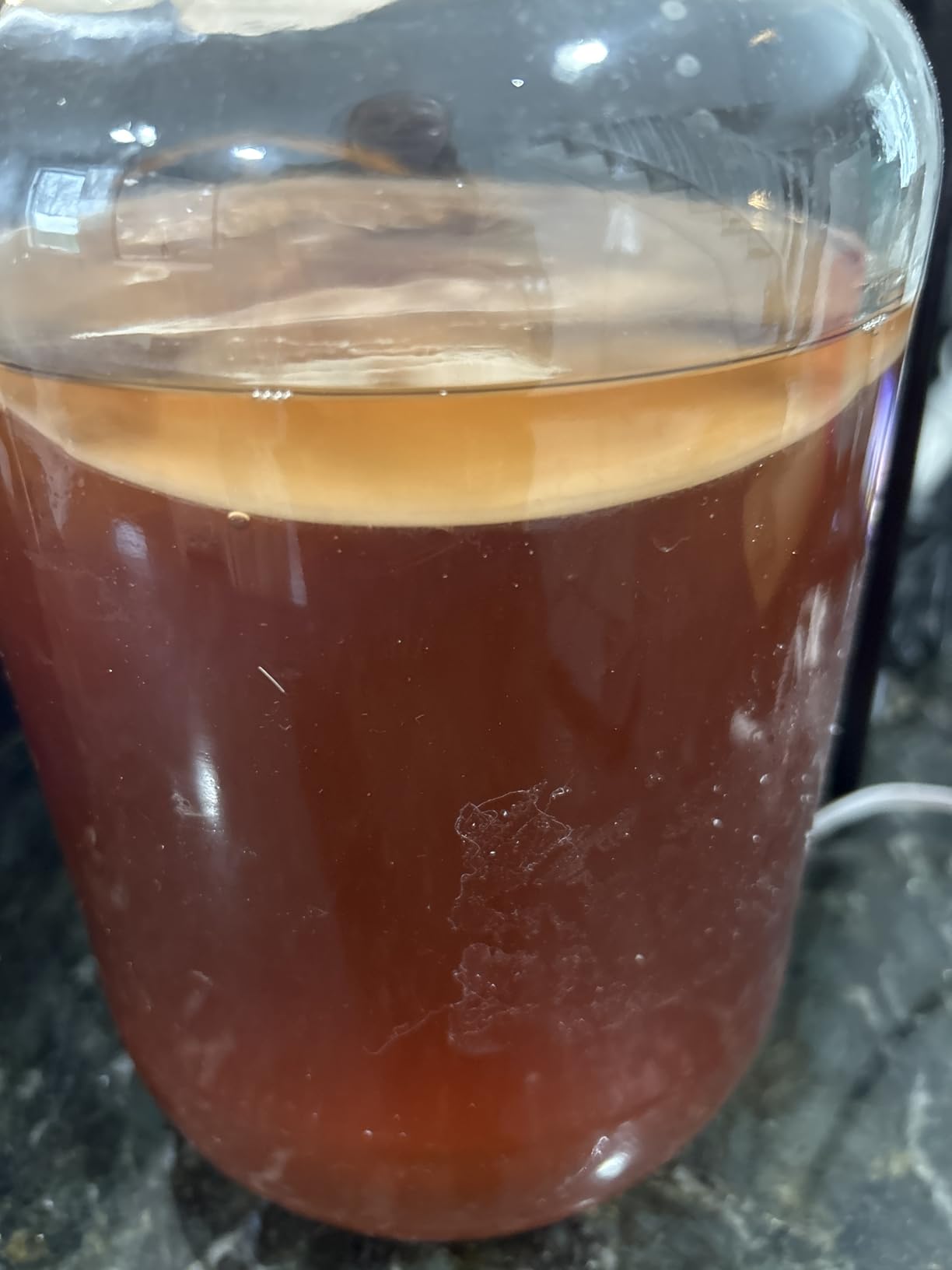 Organic SCOBY Kombucha Starter Kit with Live Culture for Brewing Kombucha Tea - Urban Kitchen customer photo 2