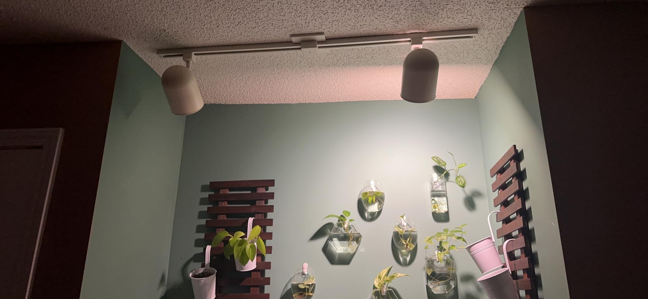 Grow Light Bulbs, Briignite LED Grow Light Bulb A19 Bulb, Full Spectrum Grow Light Bulb, Plant Light Bulbs E26 Base, 11W Grow Bulb 100W Equivalent, Grow Light for Indoor Plants, Seed Starting, 2Pack customer photo 2