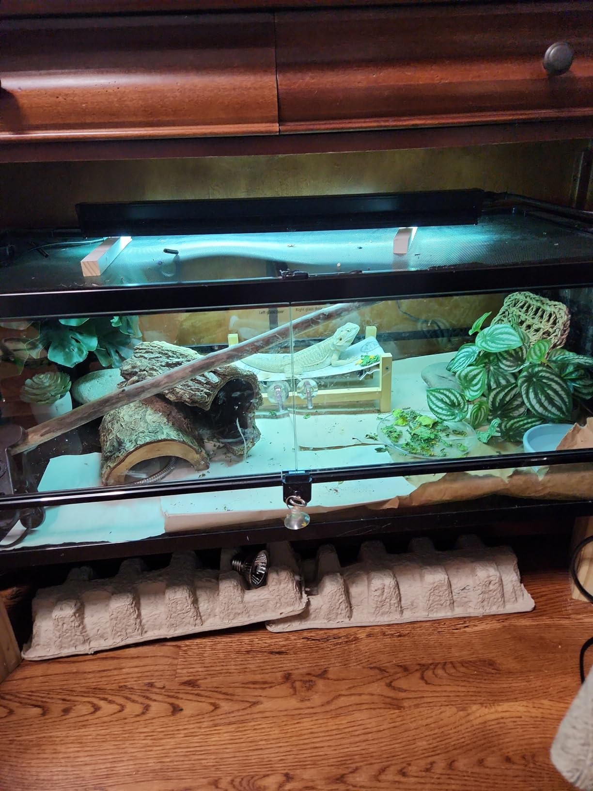REPTI ZOO Full Glass 35 Gallon Reptile Tank, Front Opening Wide & Low Reptile Terrarium 36