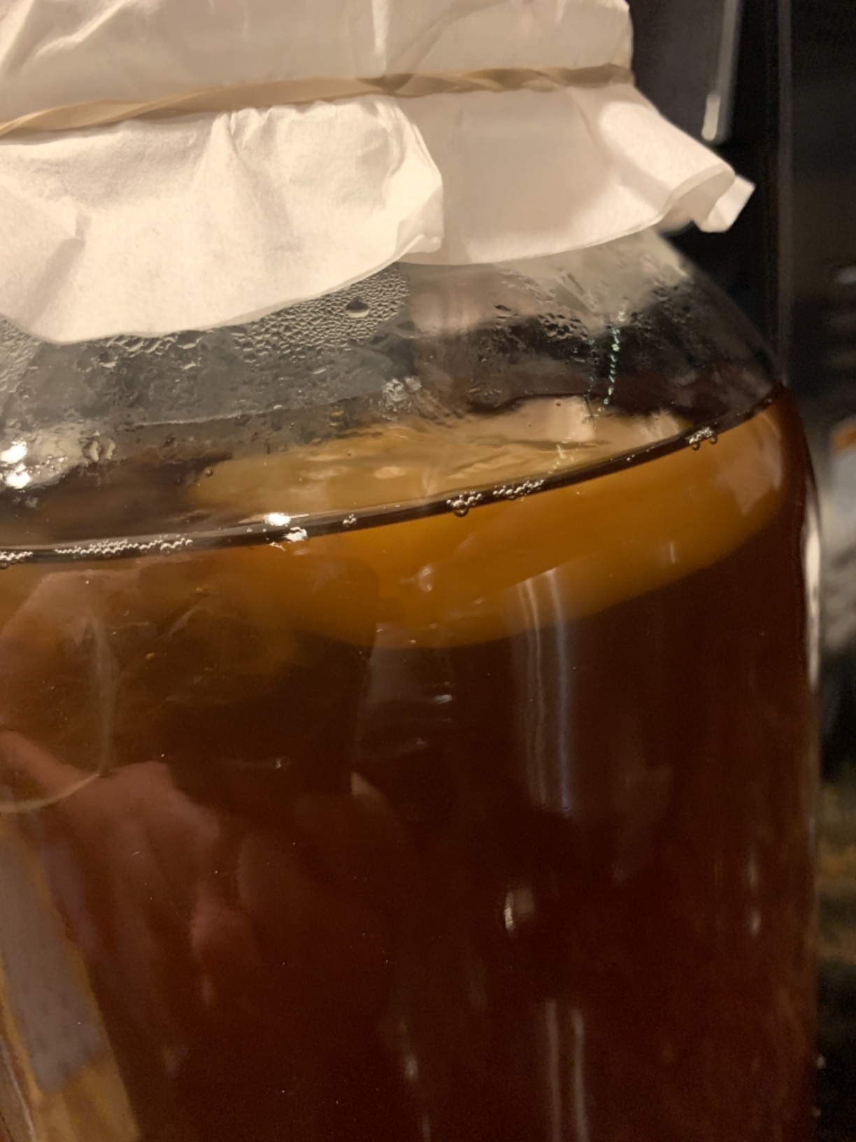 Deluxe Kombucha Starter Kit with Kombucha SCOBY & Starter Tea, Full Kombucha Kit with Bottles Swing Top Glass Bottles Kombucha Brewing Kit + 6 Bottles to Flavor Kombucha (Clear Bottles) customer photo 1