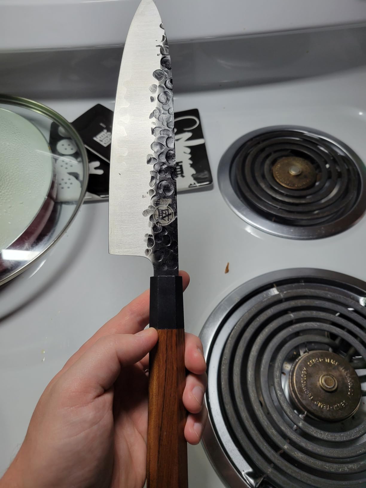 MITSUMOTO SAKARI 8-Inch Japanese Gyuto Chef Knife, 3-Layer 9Cr18MoV | San-Mai High Carbon Stainless Steel, Hand-Forged Finish, Octagonal Rosewood Handle, Sandalwood Box customer photo 1